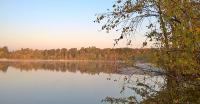 Image0010.jpg